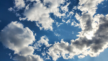 landscape with trees and clouds wallpaper