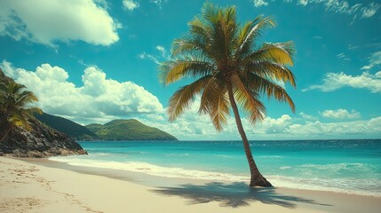 Fototapeta premium A tropical palm tree standing tall beside a sandy beach, embodying vacation vibes and relaxation. 