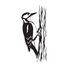 High Quality Woodpecker Silhouette – Woodpecker Vector Icon Set for Branding – Bird Silhouette – Silhouette of Woodpecker

