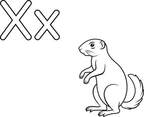 Alphabet coloring page letter X with Xerus