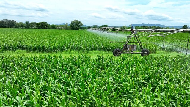 Aerial drone view of a center pivot irrigation system watering lush green crops, showcasing efficient circular watering technology for maximizing farmland productivity and water conservation.
