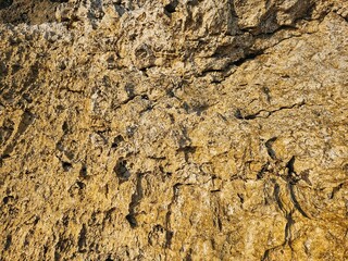 Natural rocky surface with rough details and cracks, photographed in daylight with visible shadows, useful for texture mapping, backgrounds, and earth science visuals