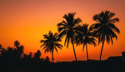 Obraz premium Silhouetted palm trees against vibrant orange sunset sky