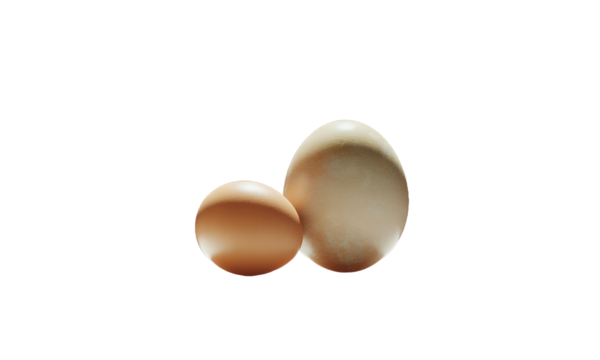 Two Eggs in Spotlight Big and Small