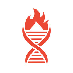 Red D N A helix with flames on white background fire