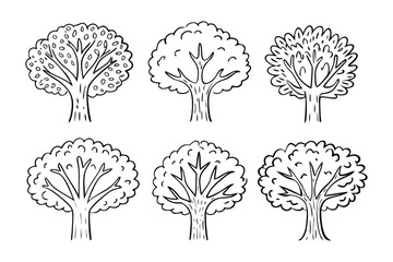 Nature's Botanical Collection: Artistic illustrations of six unique tree forms showcase the versatility of nature. These hand-drawn sketches convey organic elements.
