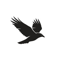 Obraz premium Dramatic depiction of a raven in flight set against a stark white background canvas