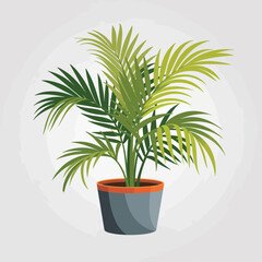 Obraz premium Lush green potted palm plant with feathery leaves in a modern grey pot