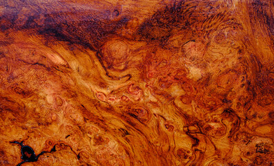 Nature afzelia burl wood striped, Exotic wooden beautiful pattern texture background