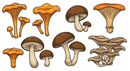 Golden & Brown Fungi: A Botanical Sketch