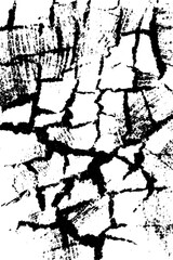 Obraz premium Black and white shattered ceramic texture for distress effect and creative design