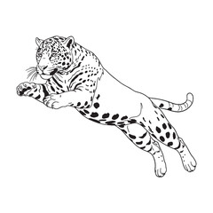 Stylized Jaguar Line Art – Jaguar Vector Illustration Elegant Drawing with Modern Curves – Jaguar Drawing – Line Art Drawing of Jaguar – Jaguar Icon

