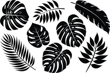 Monstera and palm leaf black silhouettes display simple tropical elegance in white background