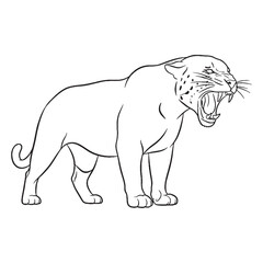 Clean Jaguar Line Art – Jaguar Vector Illustration Balanced Drawing with Bold Feline Features – Jaguar Drawing – Line Art Drawing of Jaguar – Jaguar Icon

