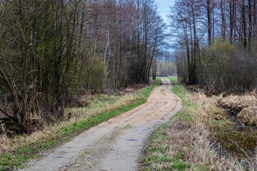 Dust road in Wegrow County, Masovia region of Poland