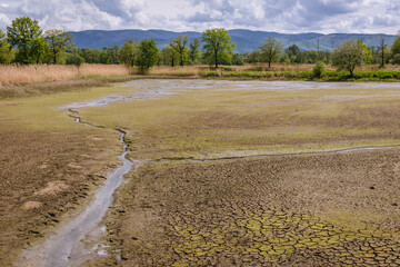 View on drained fishing pond in Miedzyrzecze Gorne village, Silesia region of Poland