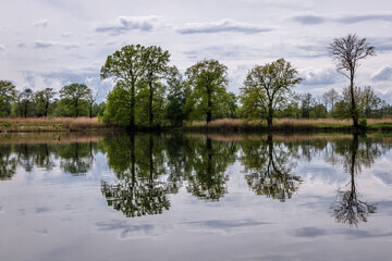 Trees over fishing pond in Miedzyrzecze Gorne village, Silesia region of Poland