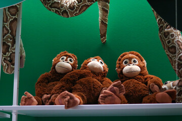 Plush Orangutans and Snake on Display Shelf Ikea © Marina Chernivetskay