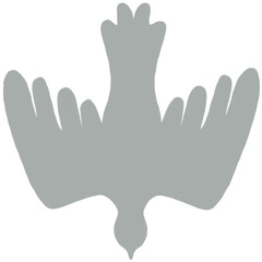 Obraz premium pigeon