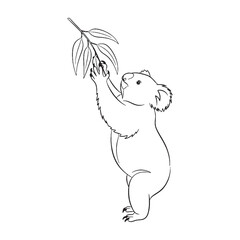 Contemporary Koala Line Art – Koala Vector Illustration Clean Drawing with Refined Wildlife Look – Koala Drawing – Line Art Drawing of Koala – Koala Icon

