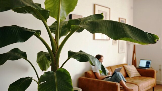 Serene woman relaxing with a laptop on a comfy couch in a sunlit living room with lush green plant, perfect for showcasing modern interior design and home office vibes