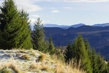 Coniferous forest in the mountain peaks in Romania. Carpathian Mountains in the autumn season and cloudy sky. Mountain Landscape. Transylvania is a region in central Romania © Create.Pictures