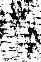Obraz premium Monochrome close up of tree bark texture for grunge design