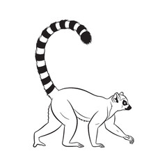 Distinct Lemur Line Art – Lemur Vector Outline Drawing with Iconic Striped Tail Shape – Lemur Drawing – Vector of Lemur – Lemur Outline

