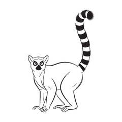 Minimalist Lemur Line Art – Lemur Vector Illustration Clean Drawing with Elegant Curves – Lemur Drawing – Line Art Drawing of Lemur – Lemur Icon

