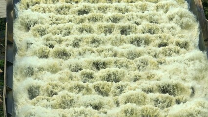 Aerial drone view of the Water Transfer Bridge rapidly moving water from canals to the sea, using pumps to speed drainage and effectively reduce flooding and flood damage in nearby areas.
