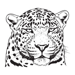 Sleek Leopard Line Art – Leopard Vector Illustration Elegant Drawing with Refined Silhouette – Leopard Drawing – Line Art Drawing of Leopard – Leopard Icon

