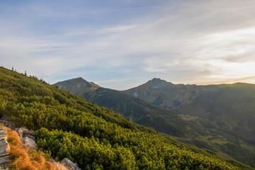 Mountain landscape at sunset in Tatra Mountains, Zakopane, Poland.
Mountain slope covered with green pines and sunset sky in Tatra Mountains