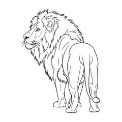 Clean Lion Line Art – Lion Vector Illustration Modern Drawing with Balanced Proportions – Lion Drawing – Line Art Drawing of Lion – Lion Icon

