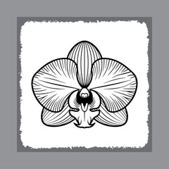 Stylized Orchid Blossom with Fine Lines