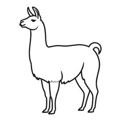 Modern Llama Line Art – Llama Vector Illustration Artistic Drawing with Long Graceful Legs – Llama Drawing – Line Art Drawing of Llama – Llama Icon

