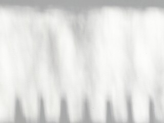 Leaves and Fences Shadow on Concrete Wall with Space for Text.