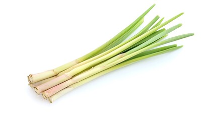 Fototapeta premium Freshly harvested stalks of lemongrass on a bright white background, studio shot