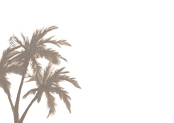 Two stylized palm trees against a black background.  Detailed outlines of the leaves and trunks in muted beige tones.  Slight red accents define the edges of the fronds