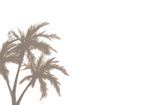 Two stylized palm trees against a black background.  Detailed outlines of the leaves and trunks in muted beige tones.  Slight red accents define the edges of the fronds