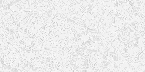 modern seamless style black lineTopographic map contours curve line Hand-drawn vector pattern Wave textures white and gray white background.	