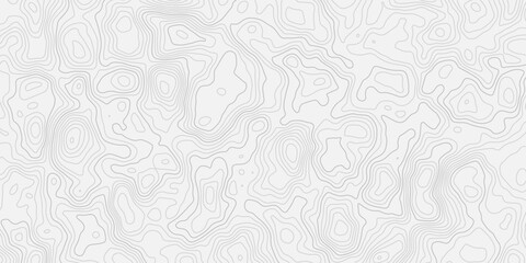 Fototapeta premium modern seamless style black lineTopographic map contours curve line Hand-drawn vector pattern Wave textures white and gray white background. 