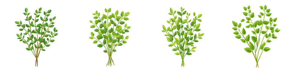 Naklejka premium Green Leaves Twigs Set Isolated on White Background