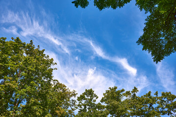 Obraz premium Schloss Chenonceau
