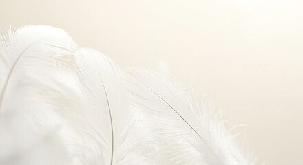 Soft white fabric folds against a pale pink background