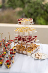 Delicious dessert display featuring layered treats at a garden celebration in the afternoon