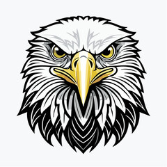Fototapeta premium eagle's face
