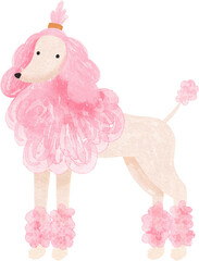 watercolor illustration of  a pink poodle dog
