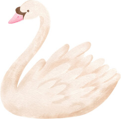 watercolor illustration of  a swan