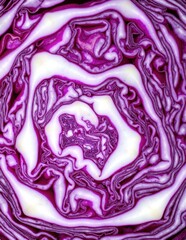 A vibrant close-up of a red cabbage, showcasing its intricate layers and deep purple hues, with dewdrops glistening on the crisp leaves.