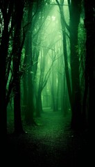 Sonnenstrahlen fallen durch die Bäume eines Waldes am frühen Morgen, verträumte und stimmungsvolle Atmosphäre, Generative AI